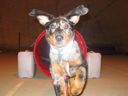 a les beaucerons tous les meme!!